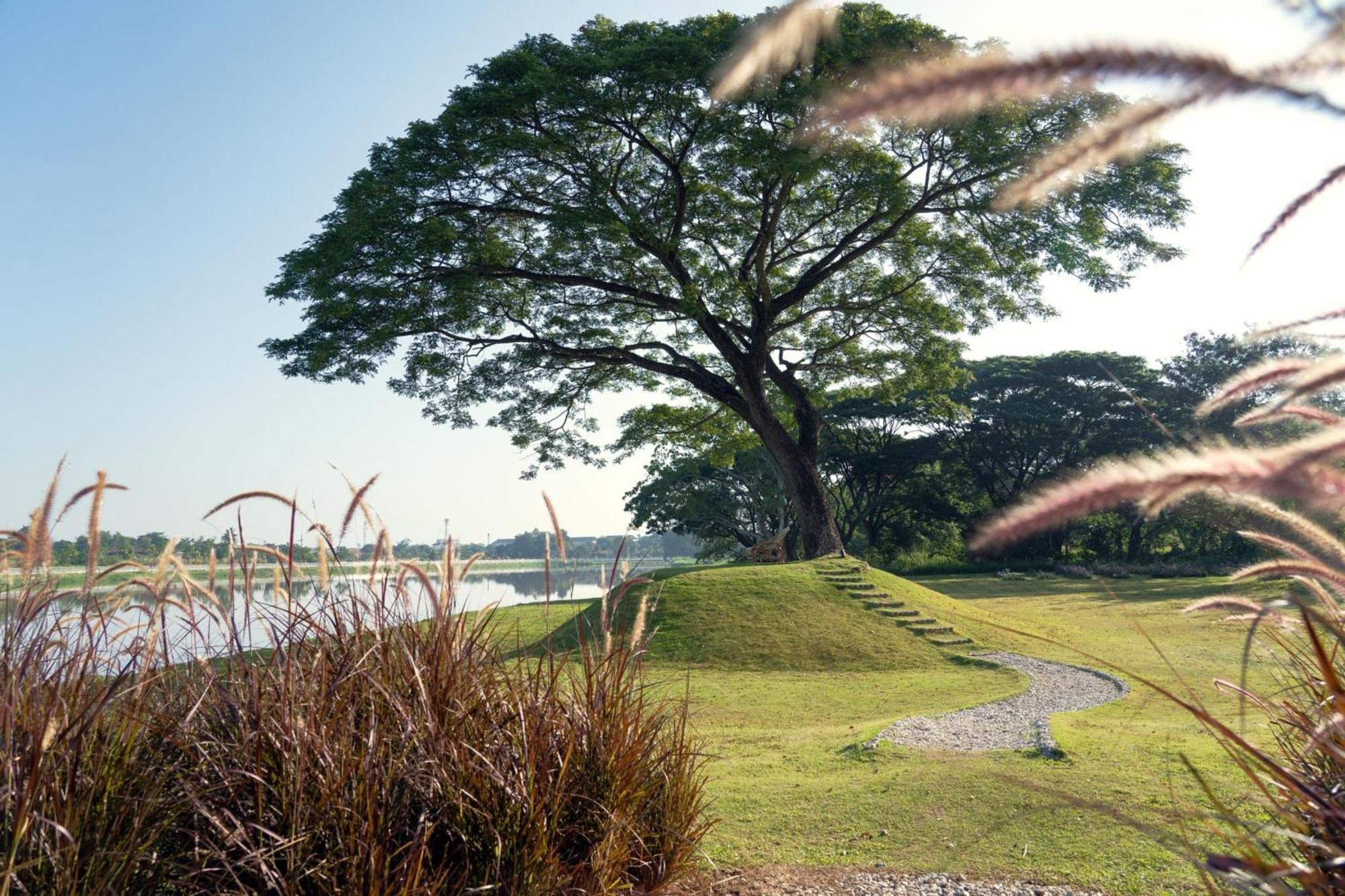 Le Meridien Chiang Rai Resort, Thailand Экстерьер фото View of the river from the park