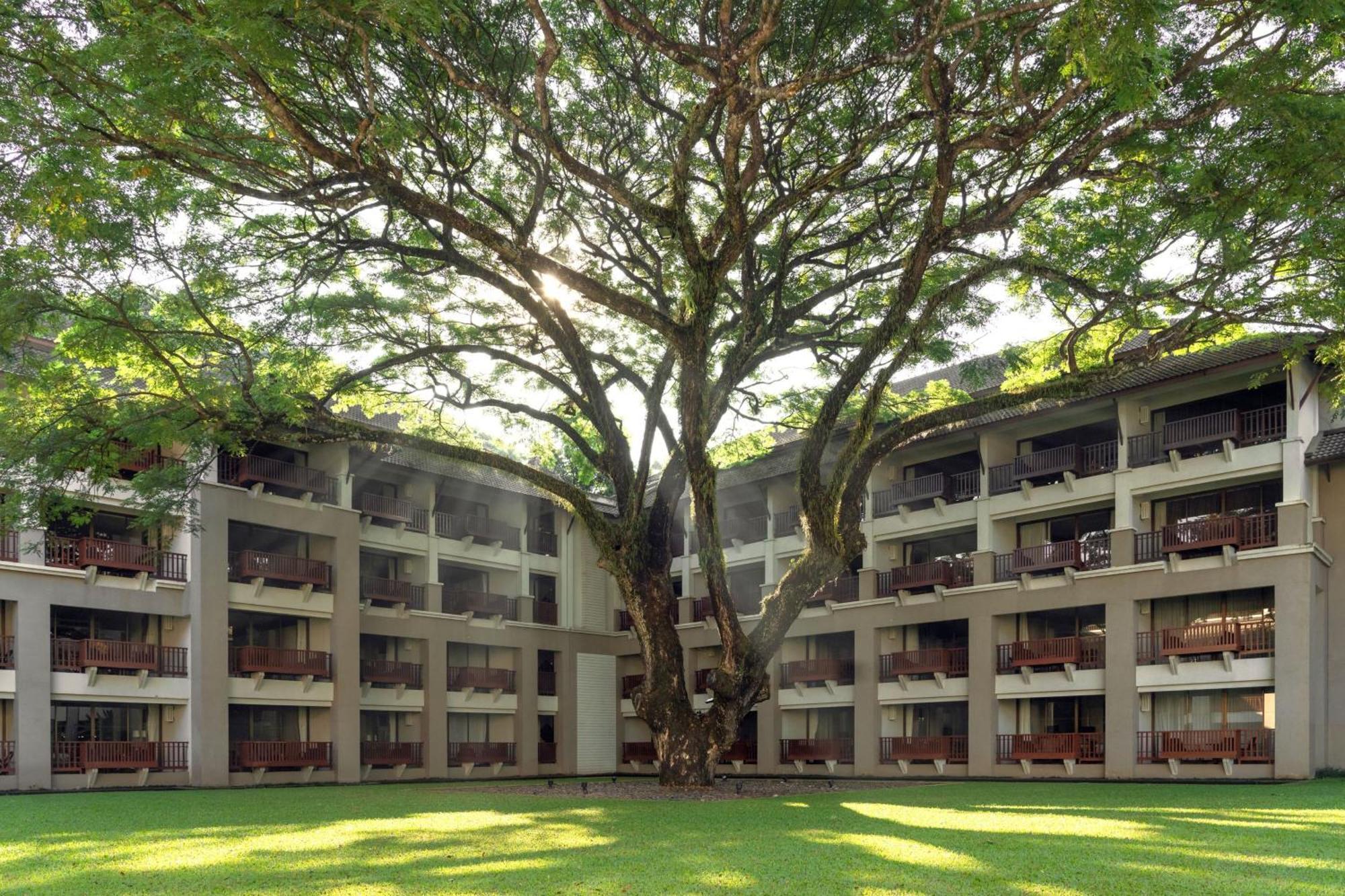 Le Meridien Chiang Rai Resort, Thailand Экстерьер фото The tree at the centre of the building